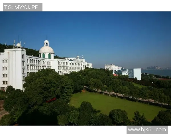 武汉排球队在联合会杯中的辉煌突破与成长历程全景回顾